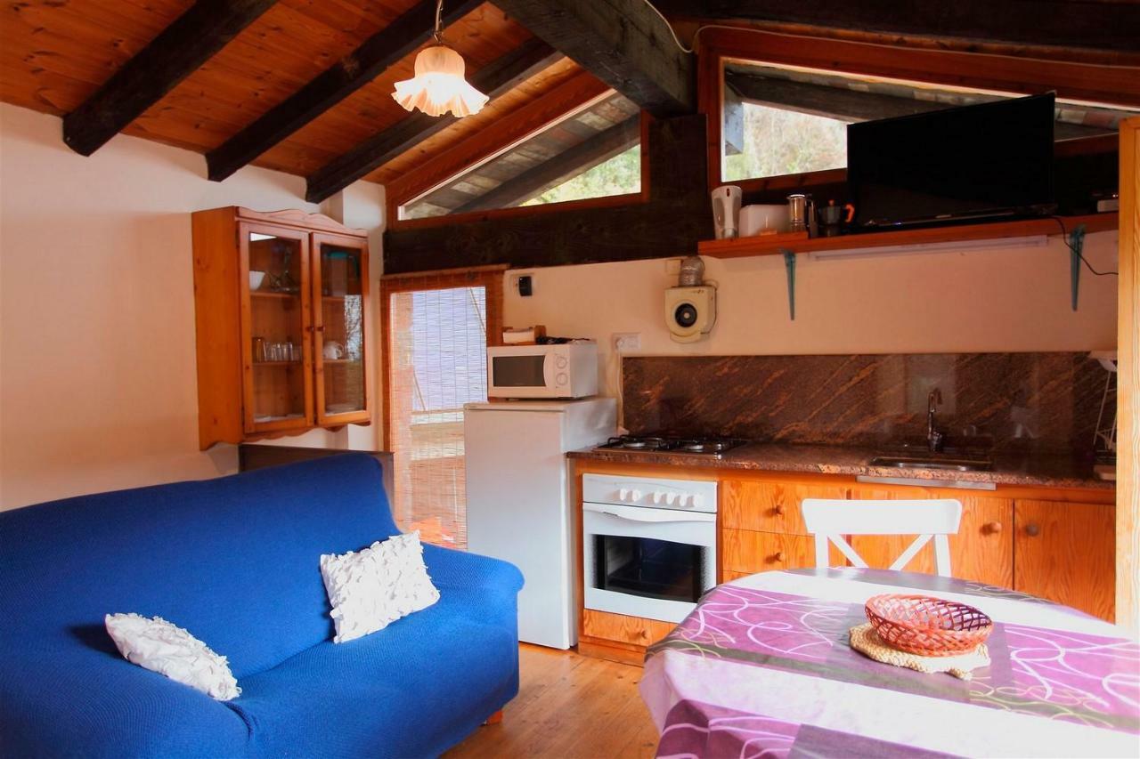 La Cabana Del Moli De La Plana Riudaura Exterior photo